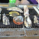 blog_import_51a71467e8392