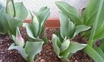 blog_import_51a7179201acb