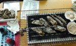 blog_import_51a72016e64d1