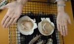 blog_import_51a72018bb21f