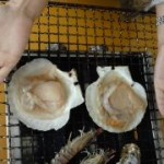 blog_import_51a7202c775c6