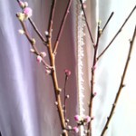 blog_import_51a723695d4a8