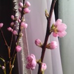 blog_import_51a723a7b133b