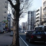 blog_import_51a723dba77be