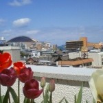 blog_import_51a723fe3aec0