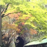 blog_import_51a725197cb74