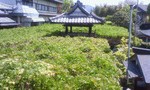 blog_import_51a7253bd4395