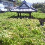 blog_import_51a7254771d1c