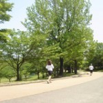blog_import_51a725e872194