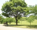 blog_import_51a725e944dfc