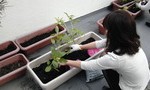 blog_import_51a726390b8cb