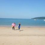 blog_import_51a729e82d257