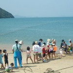 blog_import_51a729f8c2456