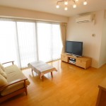 blog_import_51a730d24e5f4