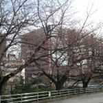 blog_import_51a730e7a7f85