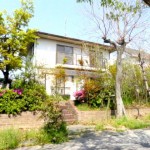 blog_import_51a73201b23e8