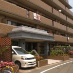 JGMヴェルデ1