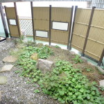 P1040059