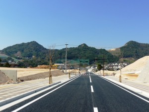 南側前面道路