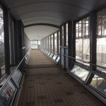 写真 7