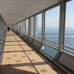 写真 8