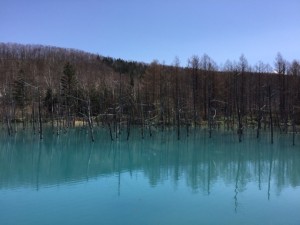 青い池 (1)