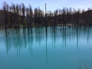 青い池 (2)