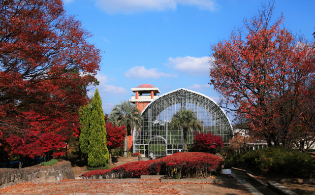 花畑園芸公園