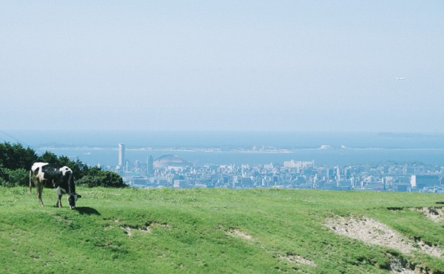 油山牧場